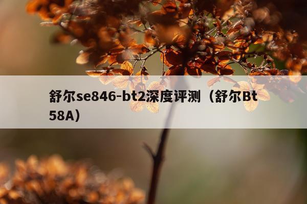 舒尔se846-bt2深度评测（舒尔Bt58A）