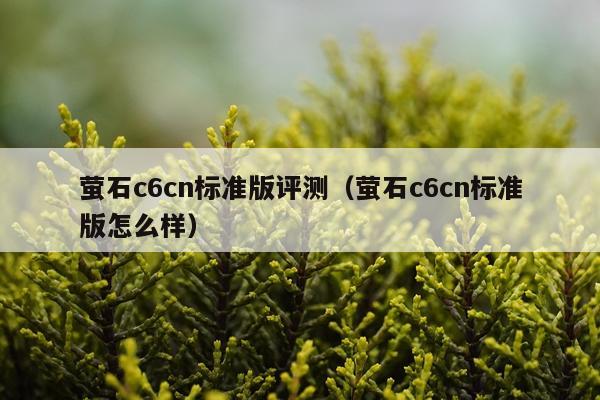 萤石c6cn标准版评测（萤石c6cn标准版怎么样）