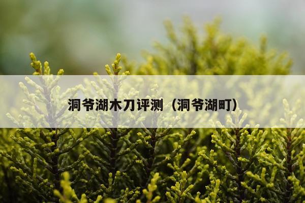 洞爷湖木刀评测（洞爷湖町）