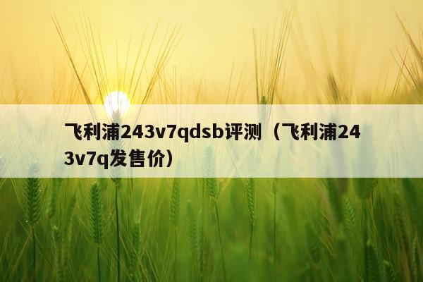 飞利浦243v7qdsb评测（飞利浦243v7q发售价）