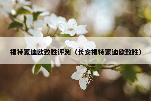 福特蒙迪欧致胜评测（长安福特蒙迪欧致胜）