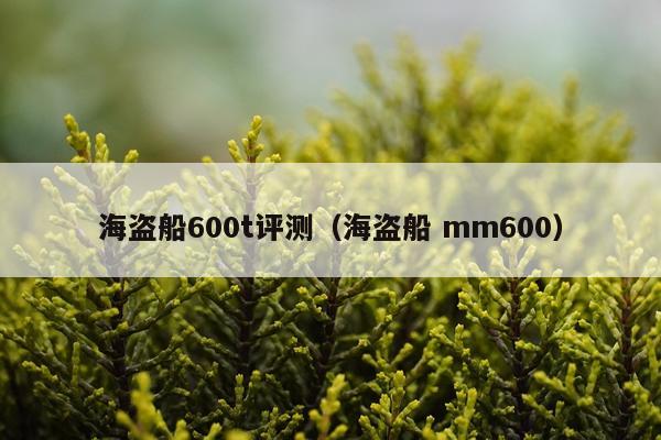 海盗船600t评测（海盗船 mm600）