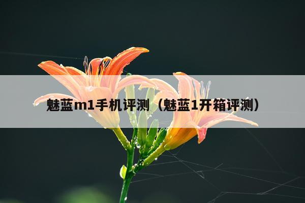 魅蓝m1手机评测（魅蓝1开箱评测）