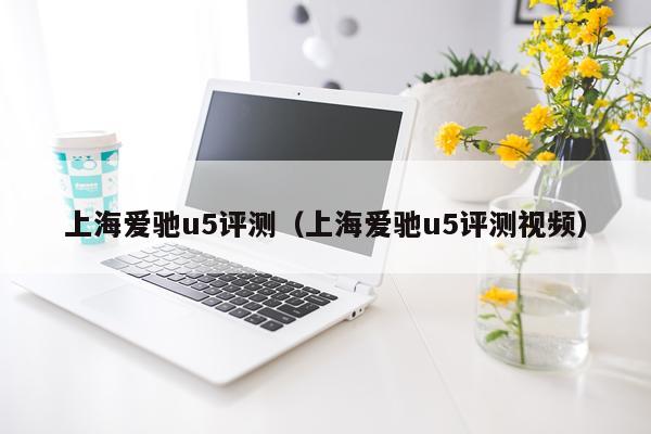 上海爱驰u5评测（上海爱驰u5评测视频）