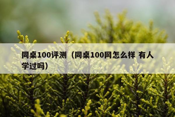 同桌100评测（同桌100网怎么样 有人学过吗）