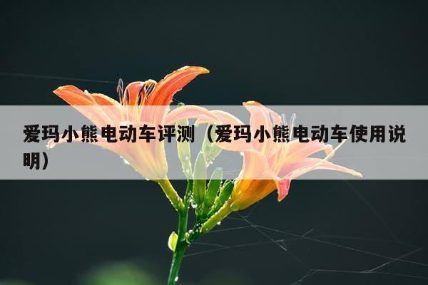 爱玛小熊电动车评测（爱玛小熊电动车使用说明）