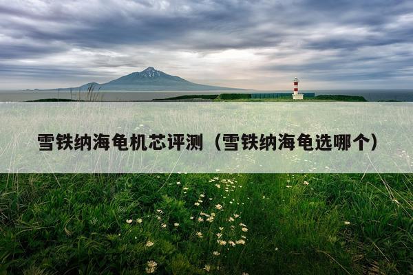 雪铁纳海龟机芯评测（雪铁纳海龟选哪个）