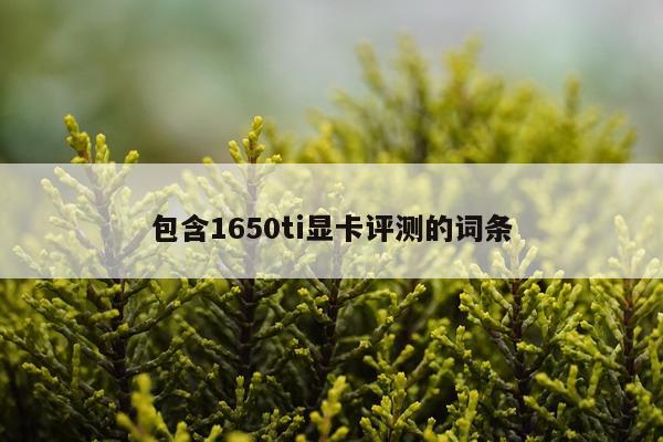 包含1650ti显卡评测的词条