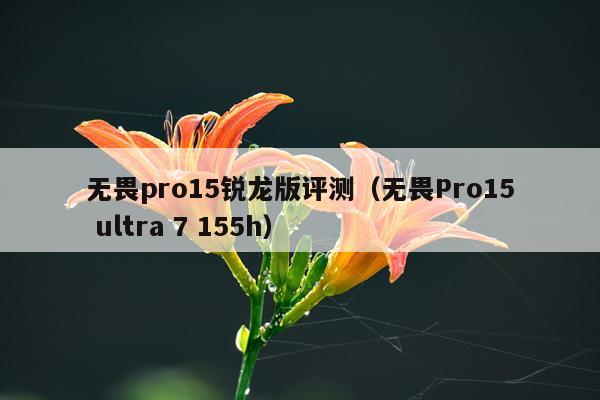 无畏pro15锐龙版评测（无畏Pro15 ultra 7 155h）