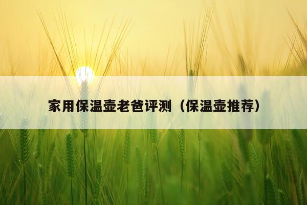 家用保温壶老爸评测（保温壶推荐）