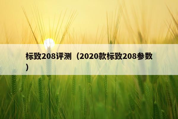 标致208评测（2020款标致208参数）