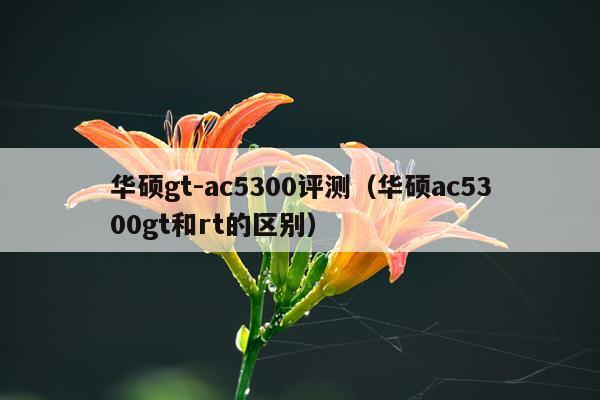 华硕gt-ac5300评测（华硕ac5300gt和rt的区别）