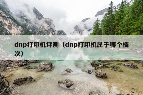 dnp打印机评测（dnp打印机属于哪个档次）