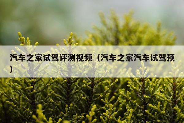汽车之家试驾评测视频（汽车之家汽车试驾预）