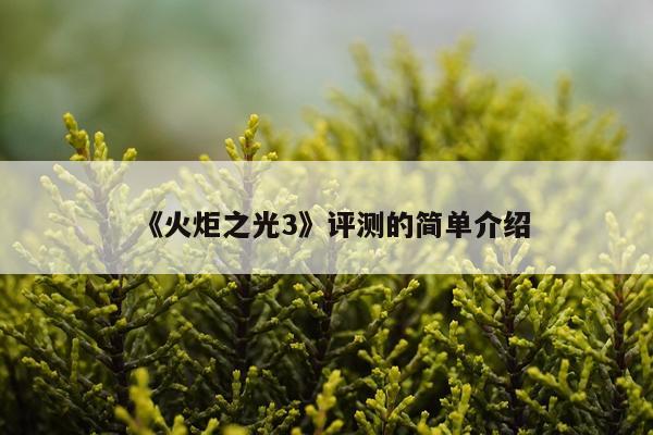 《火炬之光3》评测的简单介绍