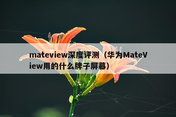 mateview深度评测（华为MateView用的什么牌子屏幕）