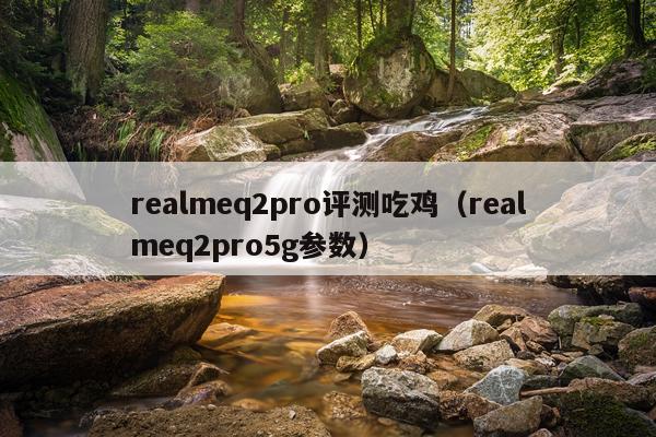realmeq2pro评测吃鸡（realmeq2pro5g参数）