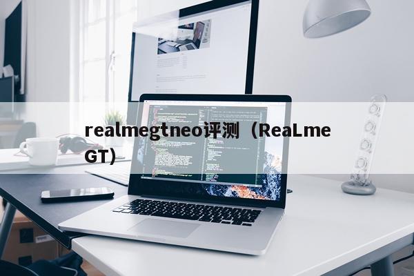 realmegtneo评测（ReaLmeGT）