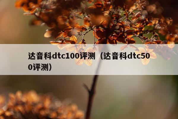 达音科dtc100评测（达音科dtc500评测）