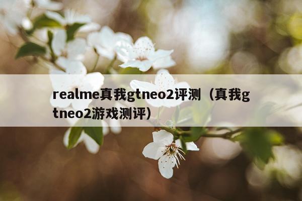 realme真我gtneo2评测（真我gtneo2游戏测评）