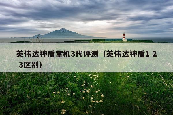 英伟达神盾掌机3代评测（英伟达神盾1 2 3区别）