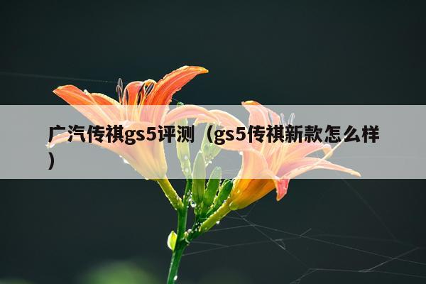 广汽传祺gs5评测（gs5传祺新款怎么样）