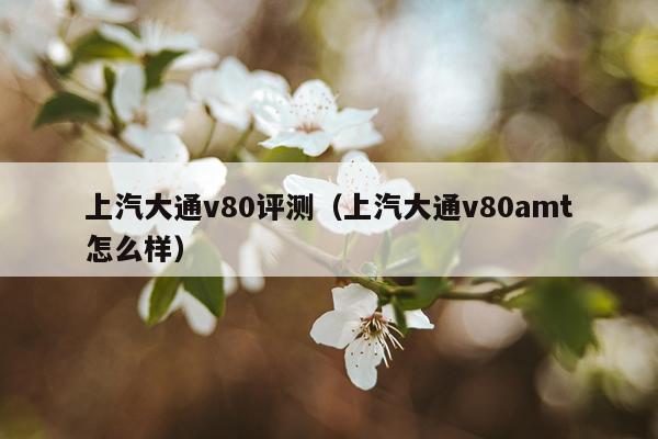 上汽大通v80评测（上汽大通v80amt怎么样）