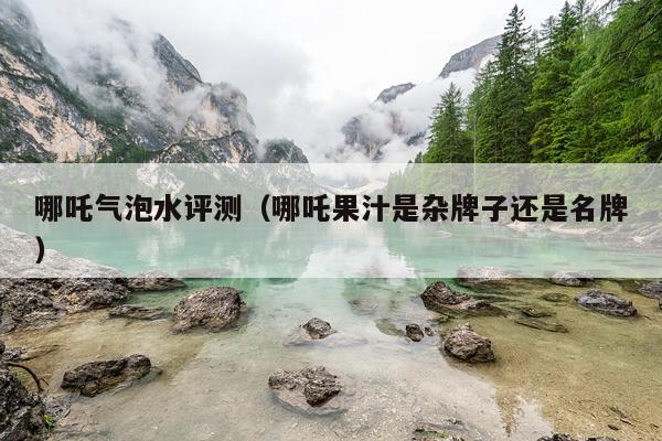 哪吒气泡水评测（哪吒果汁是杂牌子还是名牌）