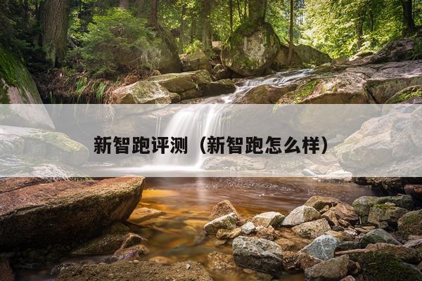 新智跑评测（新智跑怎么样）