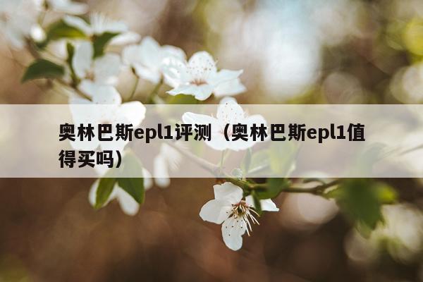 奥林巴斯epl1评测（奥林巴斯epl1值得买吗）