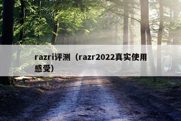 razri评测（razr2022真实使用感受）