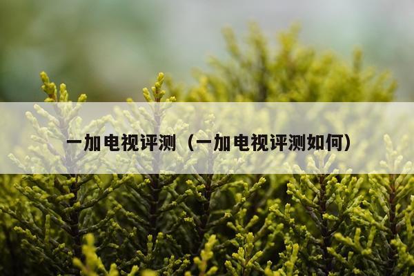 一加电视评测（一加电视评测如何）