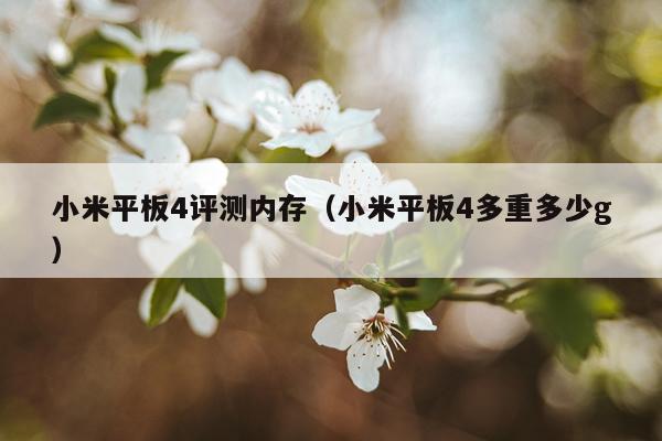 小米平板4评测内存（小米平板4多重多少g）