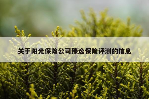 关于阳光保险公司臻逸保险评测的信息