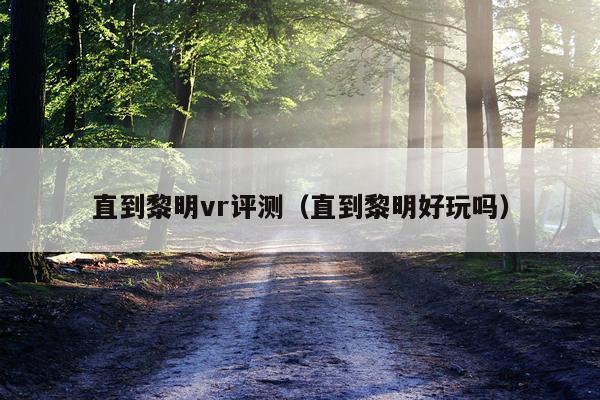 直到黎明vr评测（直到黎明好玩吗）