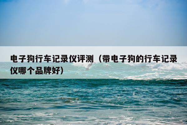 电子狗行车记录仪评测（带电子狗的行车记录仪哪个品牌好）