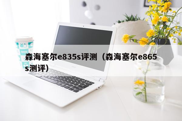 森海塞尔e835s评测（森海塞尔e865s测评）