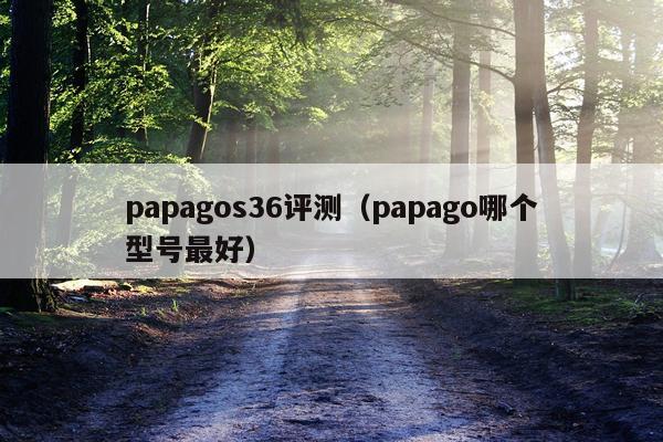 papagos36评测（papago哪个型号最好）