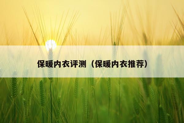 保暖内衣评测（保暖内衣推荐）