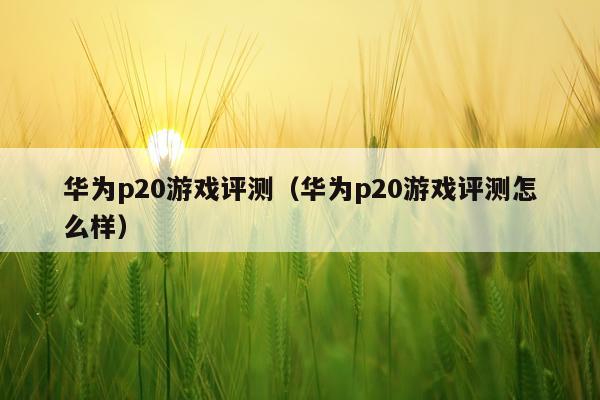 华为p20游戏评测（华为p20游戏评测怎么样）