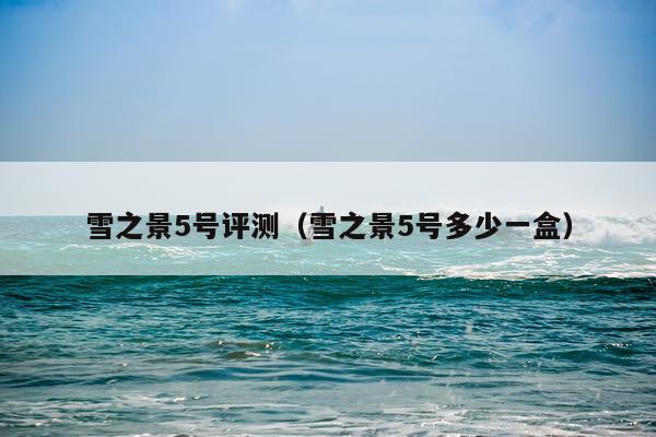 雪之景5号评测（雪之景5号多少一盒）
