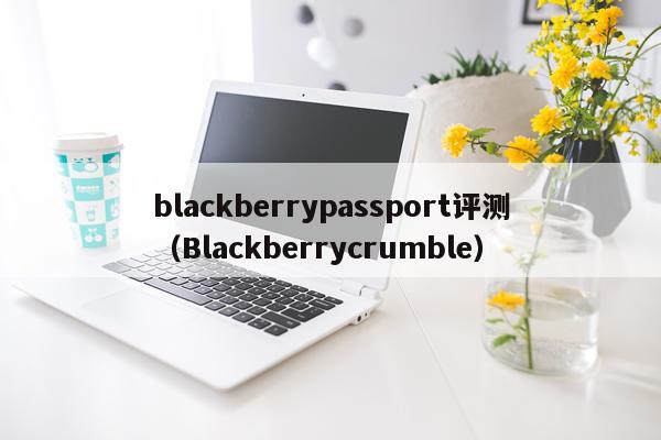 blackberrypassport评测（Blackberrycrumble）