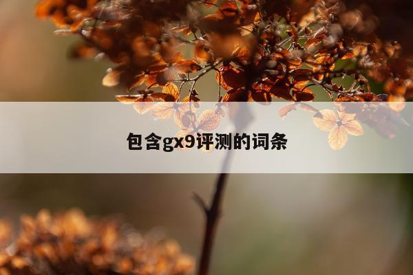 包含gx9评测的词条