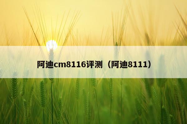 阿迪cm8116评测（阿迪8111）