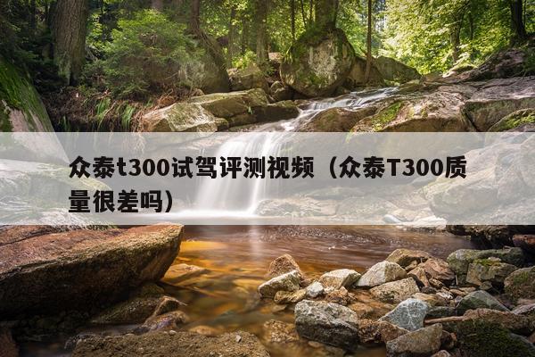 众泰t300试驾评测视频（众泰T300质量很差吗）