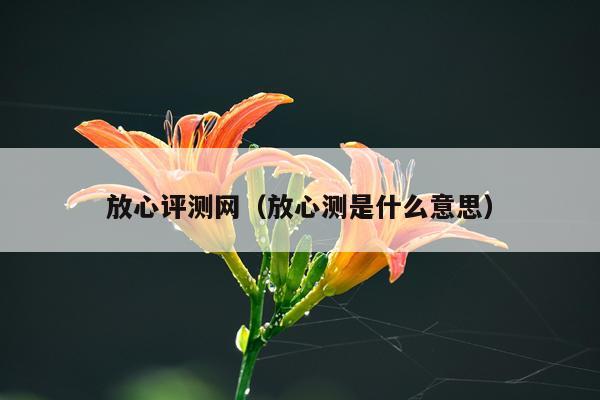 放心评测网（放心测是什么意思）