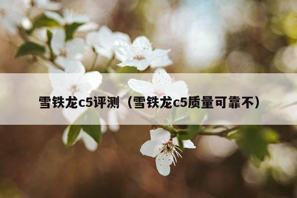 雪铁龙c5评测（雪铁龙c5质量可靠不）