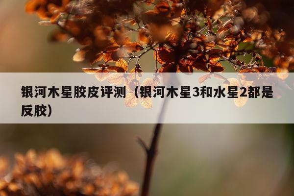 银河木星胶皮评测（银河木星3和水星2都是反胶）