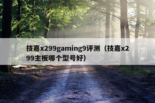 技嘉x299gaming9评测（技嘉x299主板哪个型号好）