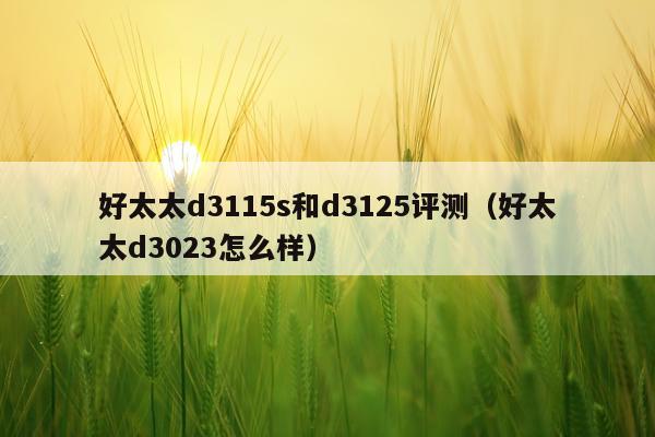 好太太d3115s和d3125评测（好太太d3023怎么样）